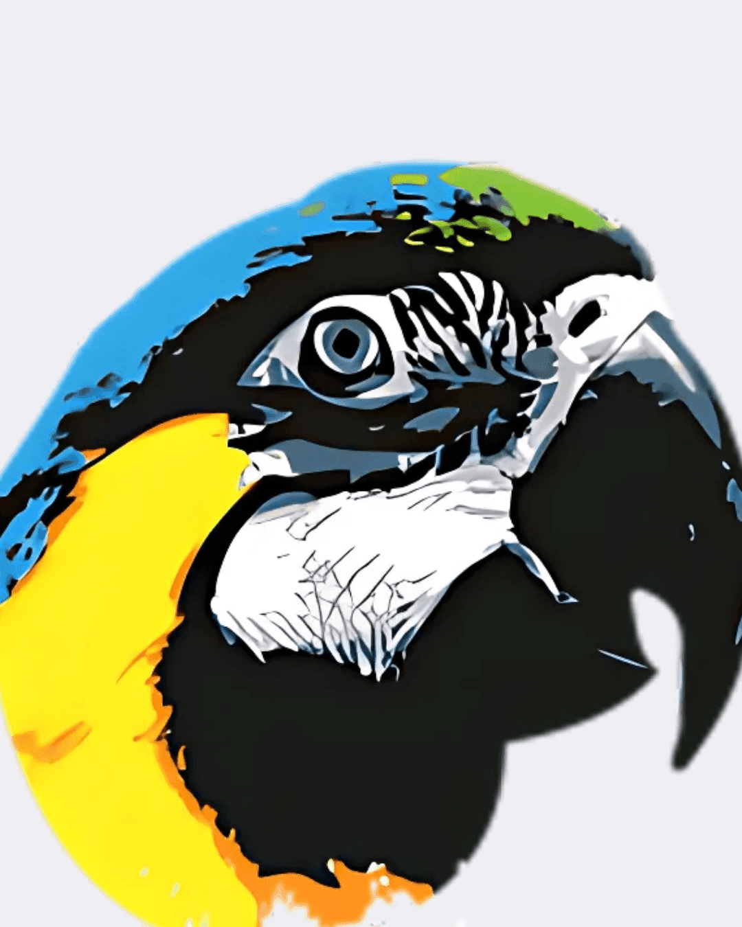 MCS Wales parrot artwork